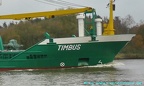 timbus 10