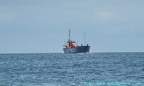 ulriken 2