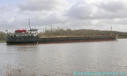 vera 8
