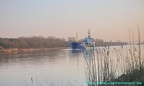 wilja 1