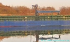 wilja 5