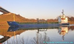 wilja 7