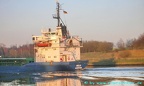 wilja 9
