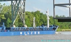wlison marsin 8