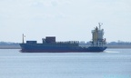 Carolina 11