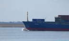 Carolina 5
