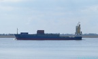 Carolina 7