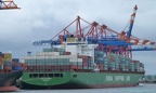 CSCL Oceania 11