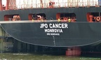 JPO Cancer 7