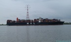 Mol Quasar 14
