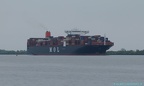 Mol Quasar 4