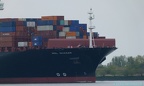 Mol Quasar 6