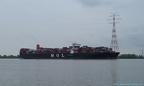 Mol Quasar 11