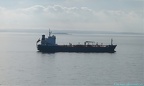 Amur Star