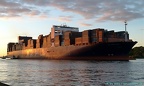APL Singapura